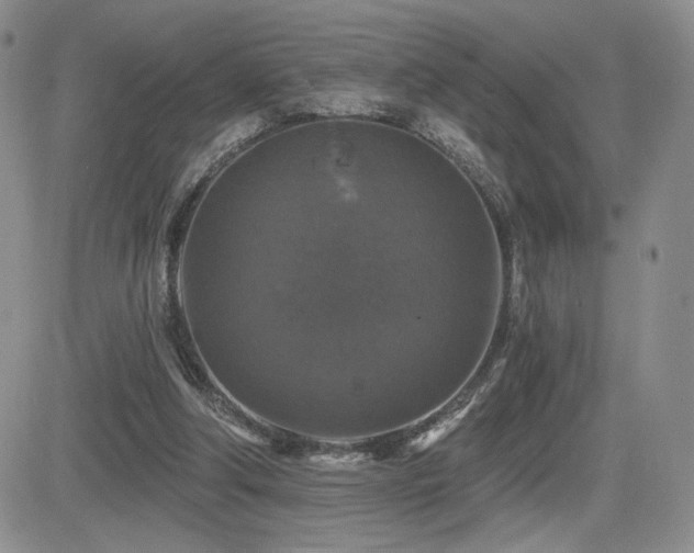 X0000084520202200702231143