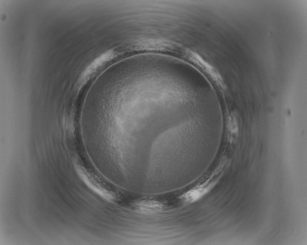 X0000084520203200702231143