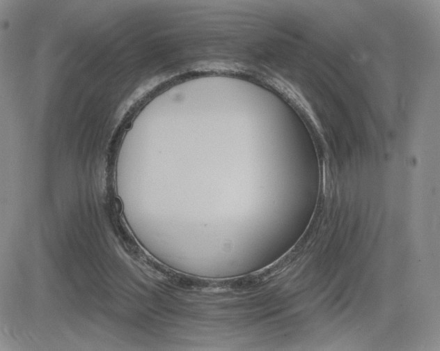 X0000084520204200702231143