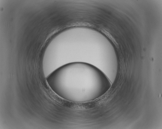 X0000084520207200702231143