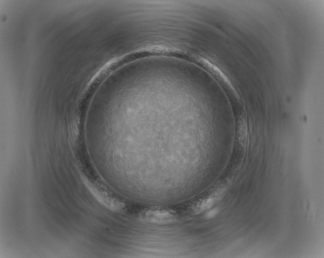 X0000084520208200702231143