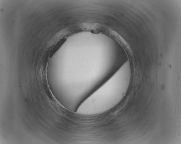 X0000084520209200702231143