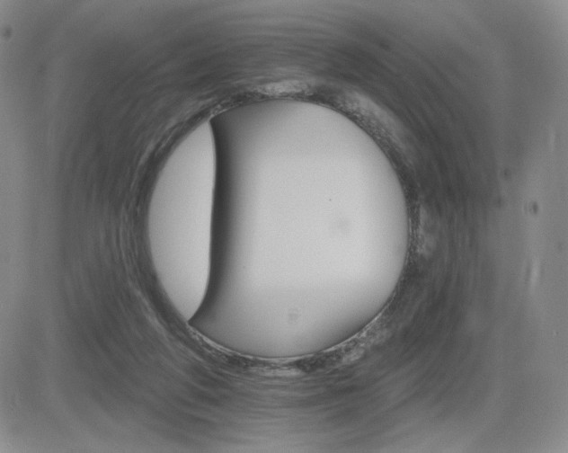 X0000084520210200702231143