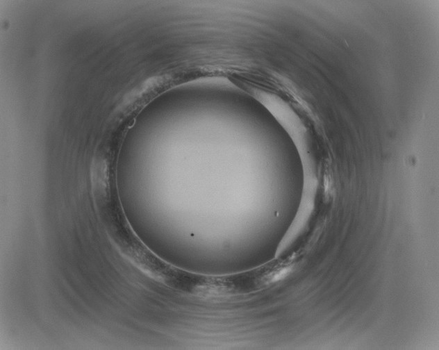 X0000084520211200702231143