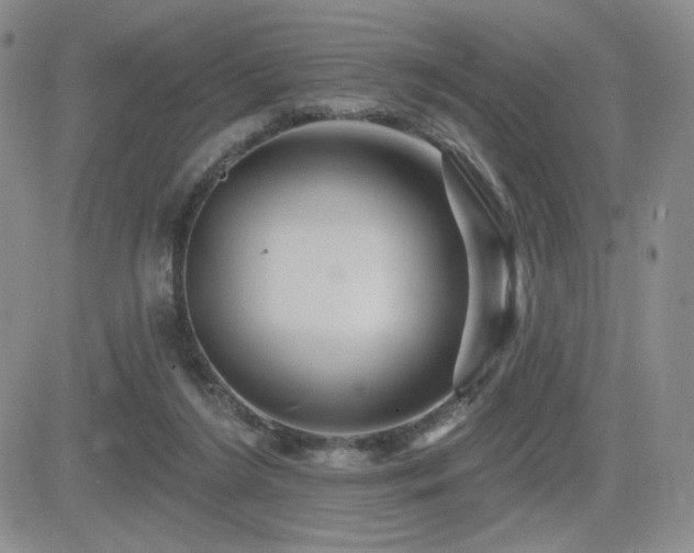 X0000084520212200702231143