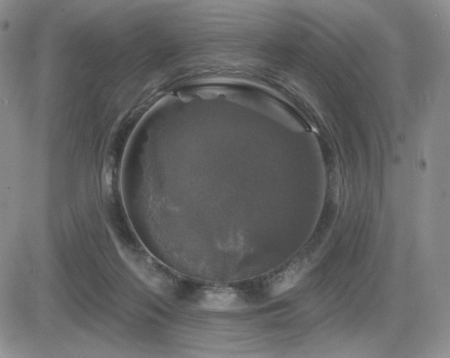 X0000084520214200702231143