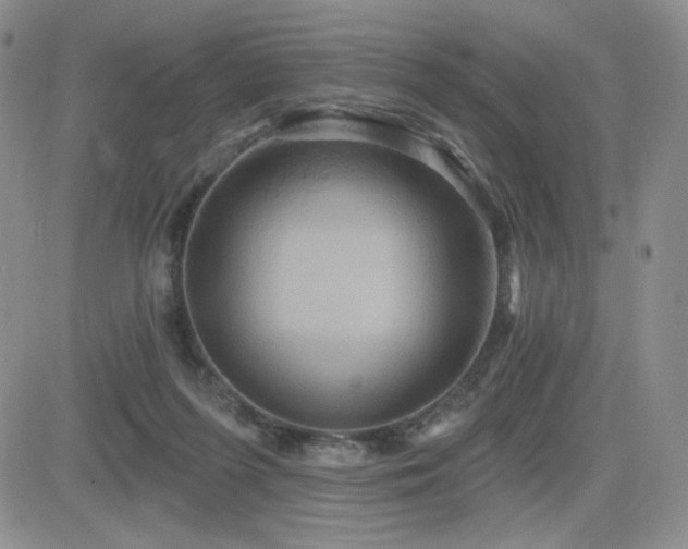 X0000084520215200702231143