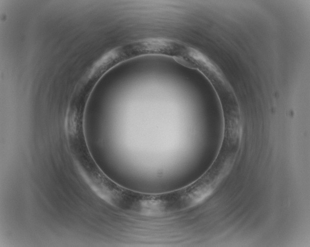 X0000084520216200702231143