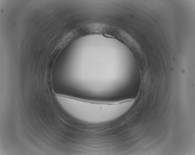 X0000084520217200702231143