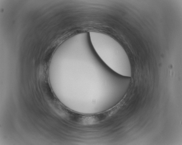 X0000084520218200702231143