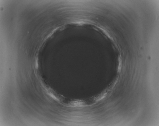 X0000084520219200702231143