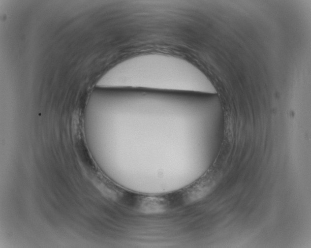 X0000084520222200702231143