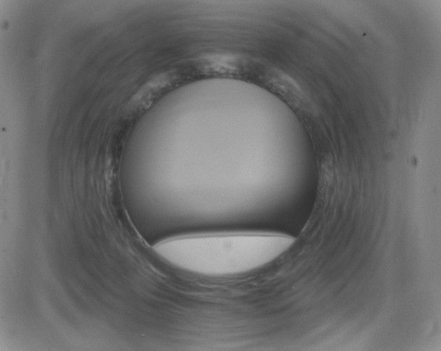 X0000084520223200702231143