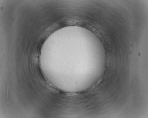 X0000084520226200702231143