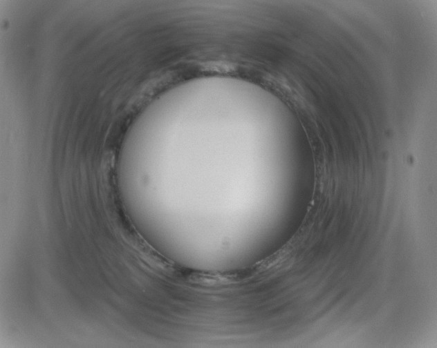 X0000084520229200702231143