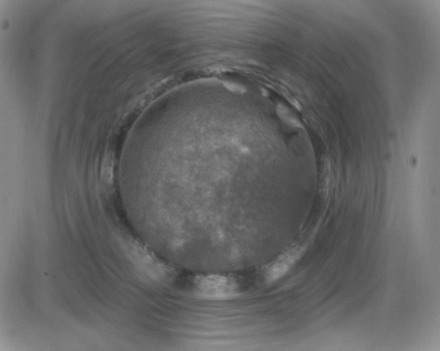 X0000084520230200702231143