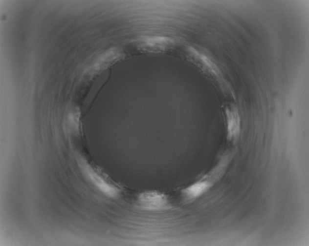 X0000084520231200702231143