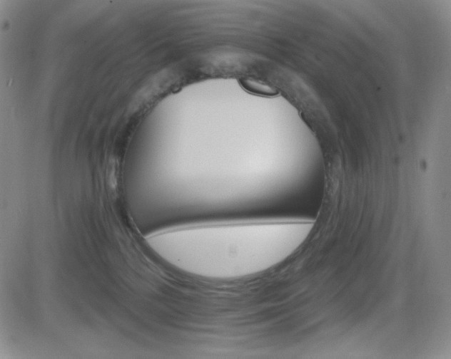 X0000084520232200702231143