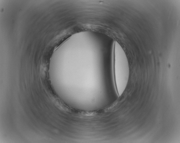 X0000084520235200702231143