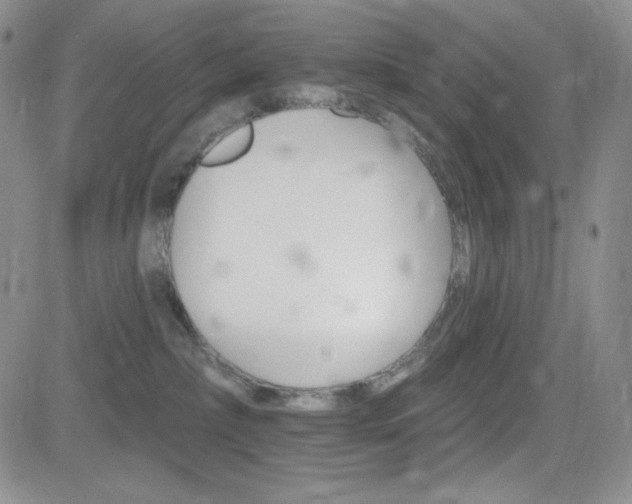 X0000084520236200702231143