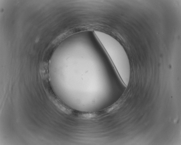 X0000084520237200702231143