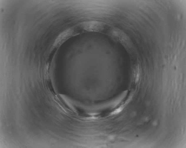 X0000084520239200702231142