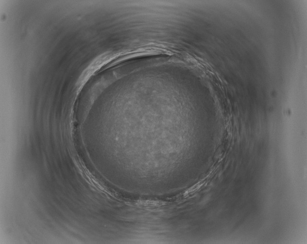 X0000084520242200702231142