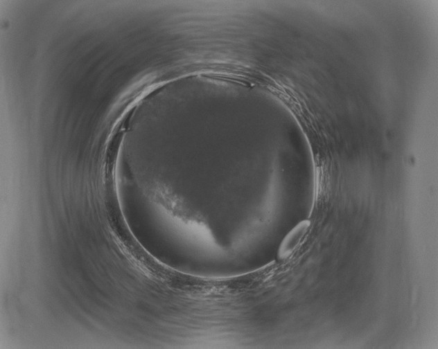 X0000084520243200702231142