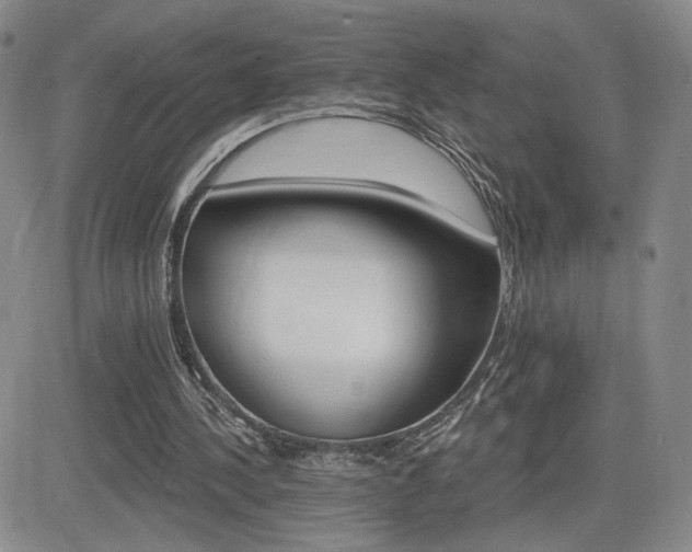 X0000084520244200702231142