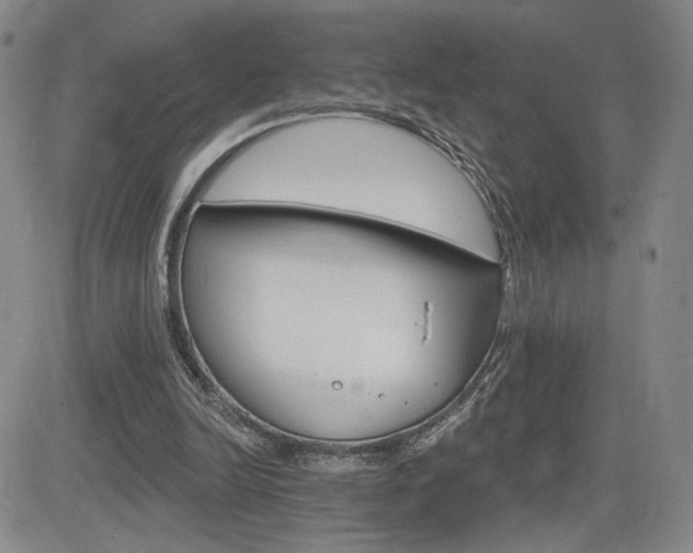 X0000084520246200702231142