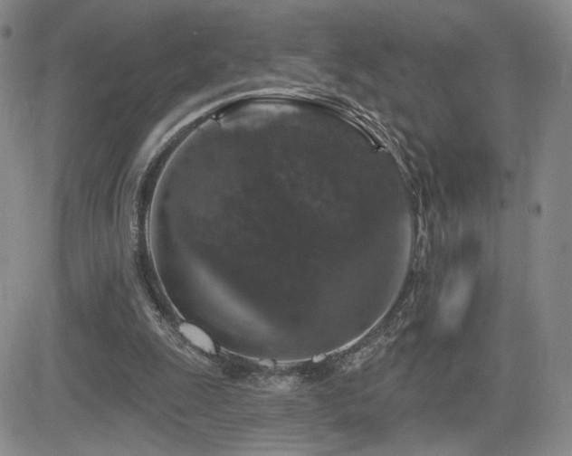 X0000084520247200702231142