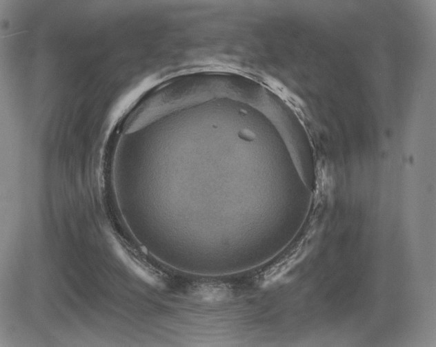 X0000084520248200702231142