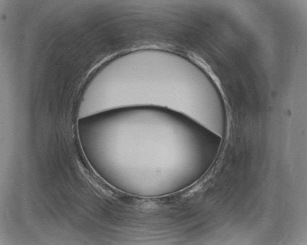 X0000084520249200702231142