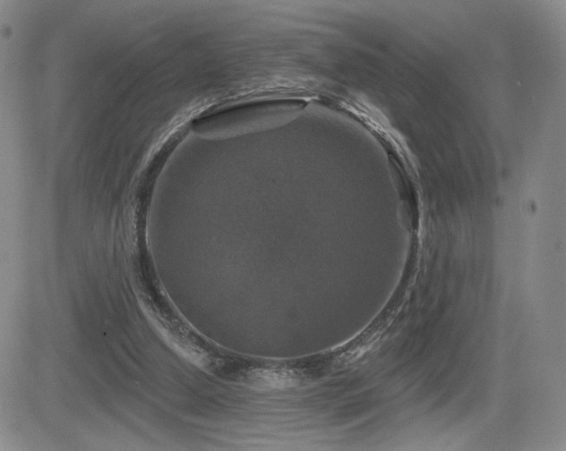 X0000084520250200702231142