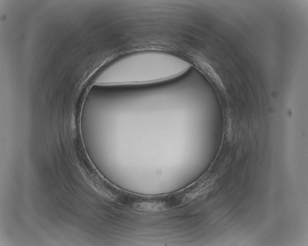 X0000084520251200702231142