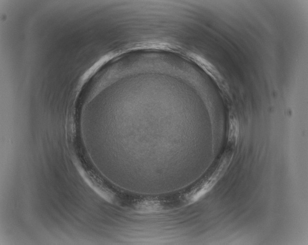 X0000084520252200702231142