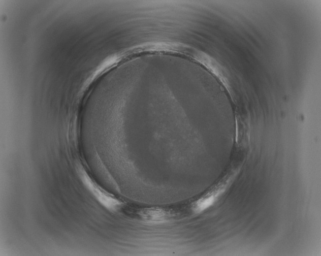 X0000084520253200702231142