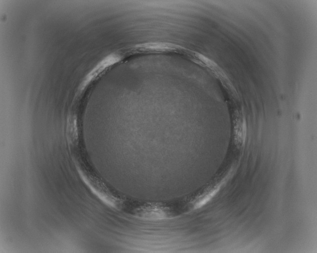 X0000084520254200702231142