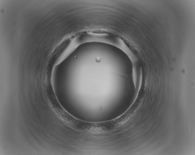 X0000084520256200702231142