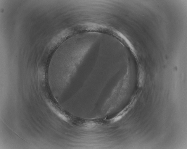 X0000084520257200702231142