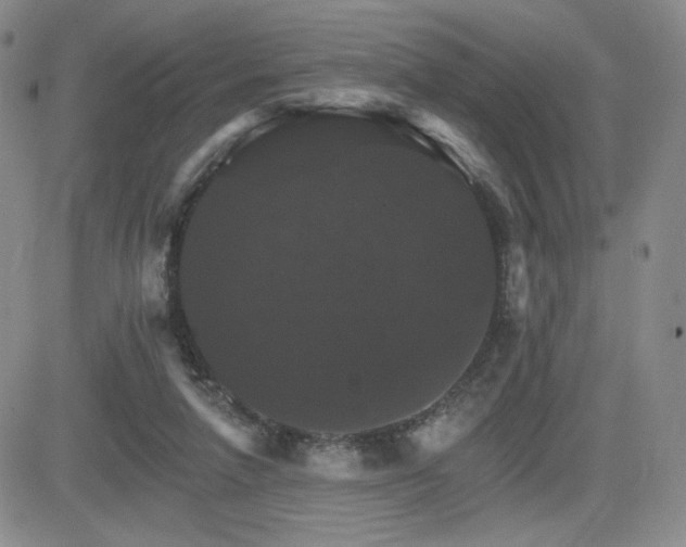 X0000084520258200702231142