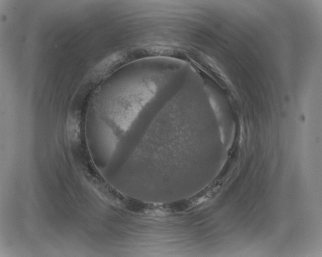 X0000084520259200702231142