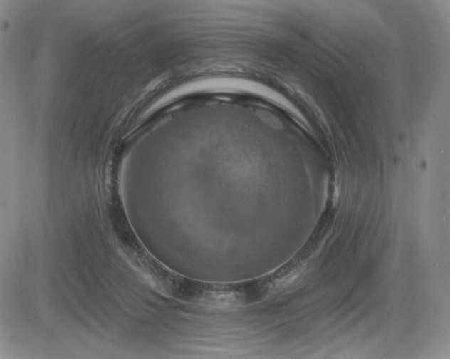 X0000084520260200702231142