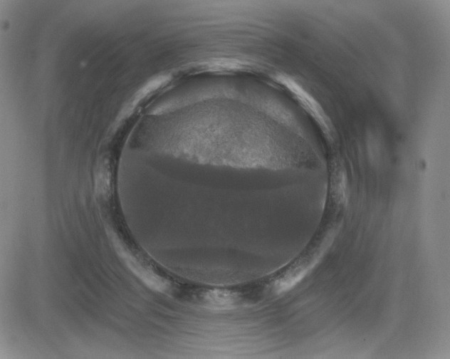 X0000084520261200702231142