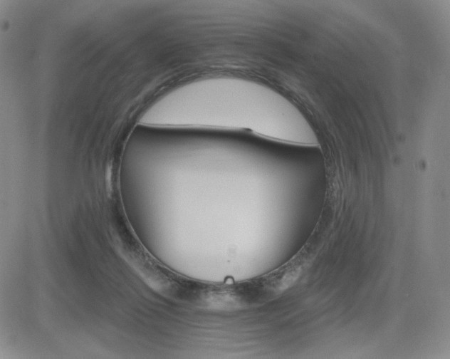 X0000084520262200702231142