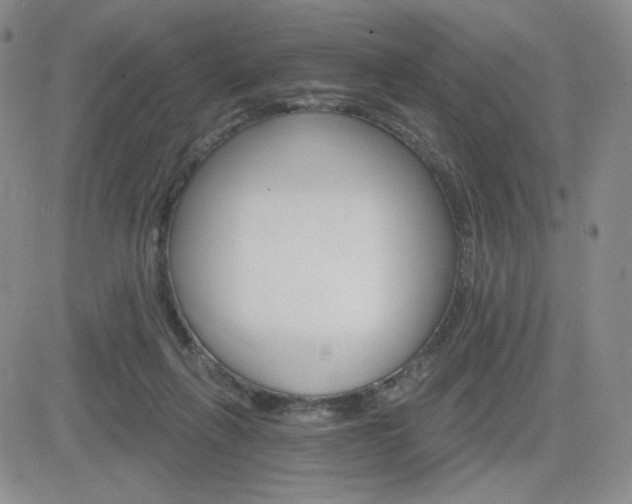 X0000084520263200702231142