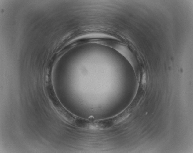 X0000084520264200702231142