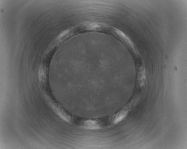 X0000084520265200702231142