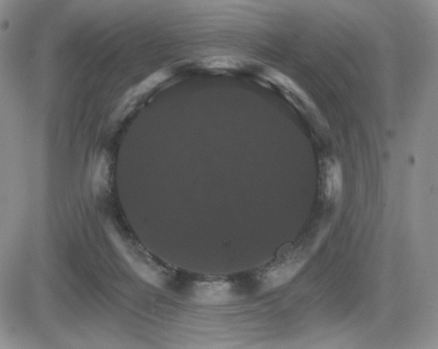 X0000084520266200702231142