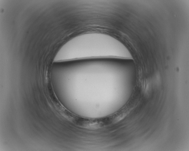 X0000084520267200702231142